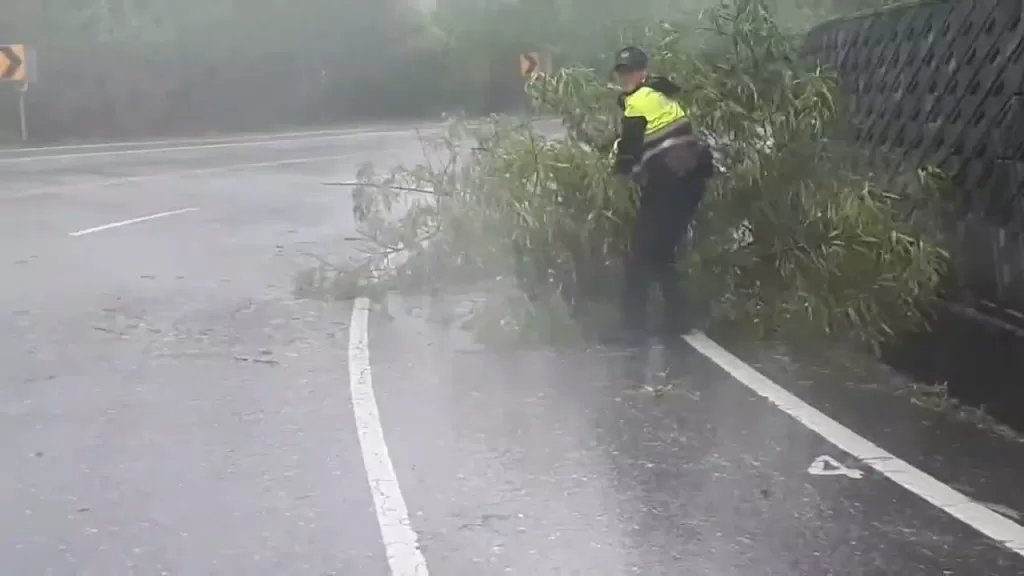 海葵颱風／花蓮強風豪雨災情＋1-台11線路樹傾倒”員警冒雨排除”