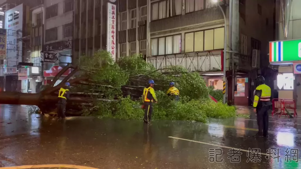 驚險！台南中西區路樹倒塌阻「雙向車道」　所幸無人員受傷