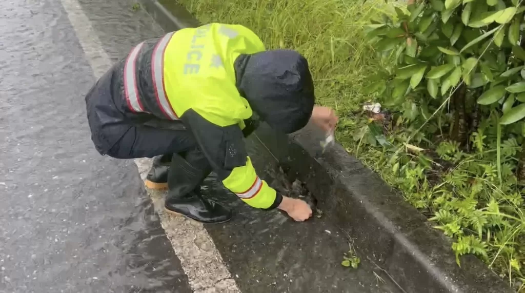 排除樹枝雜物避免導致積水｜鳳警徒手清淤有效疏通積水