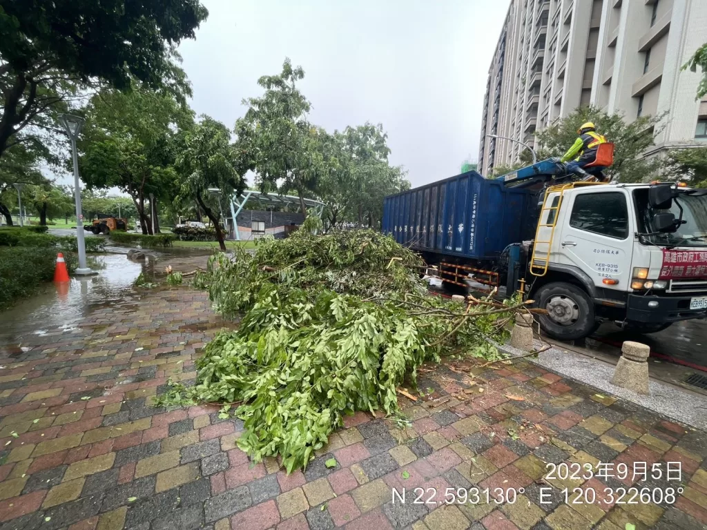 颱風樹倒六百多件，高雄迅速恢復市容與交通