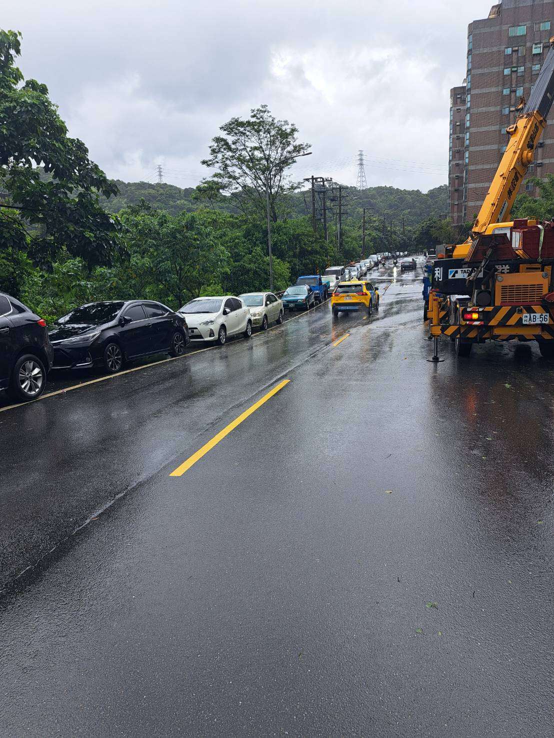 暖暖街323號路樹倒塌，基隆市警快速應對，保障交通和用路人的安全。(記者宋紹誠翻攝)