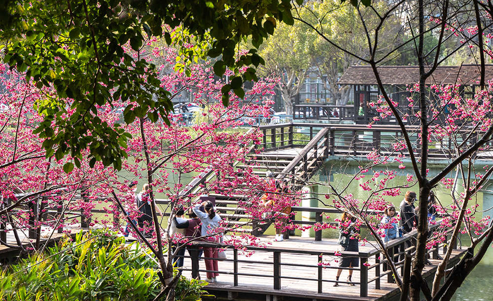 麗池公園。(圖/業者提供)